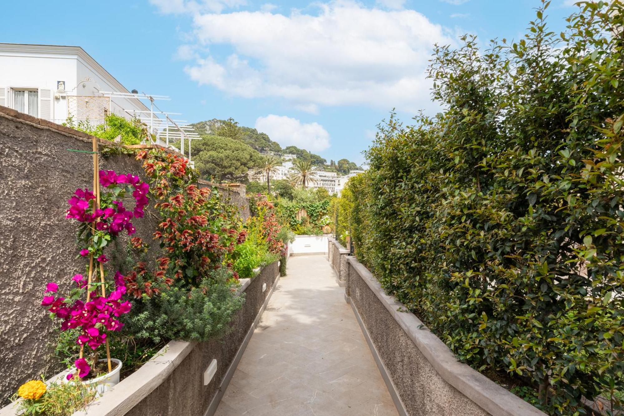 Casa Levante Luxury Apartments Capri Eksteriør billede